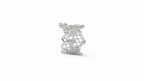 Lacelle Silver Ring/Earcuff