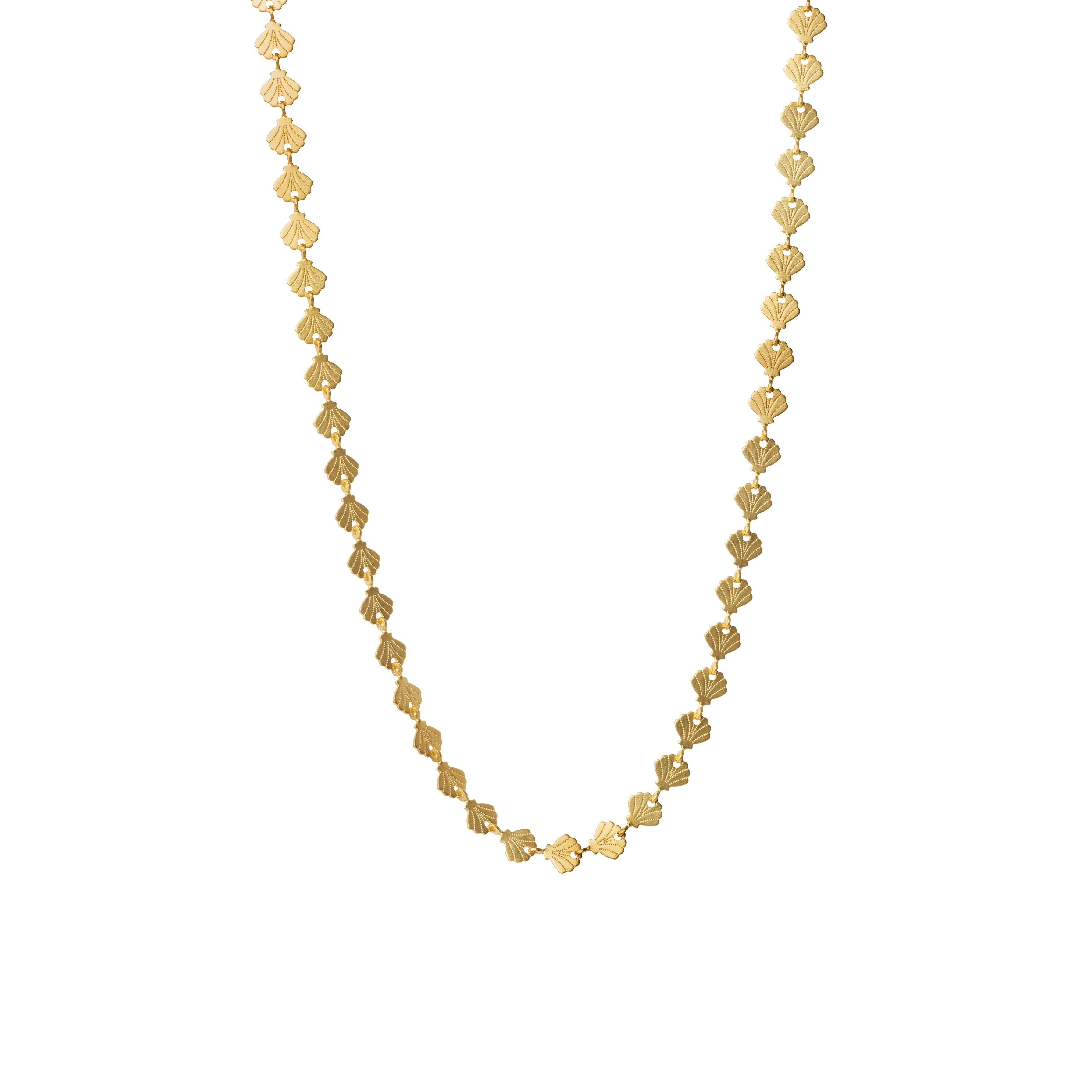 Sea Shell Motif Chain