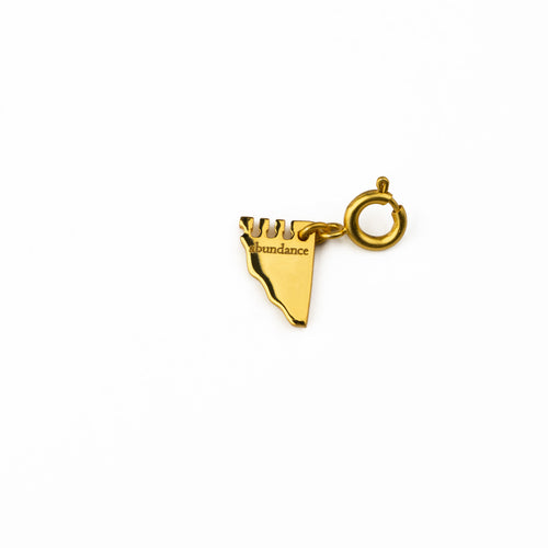 Abundance Diary Note Charm Mini